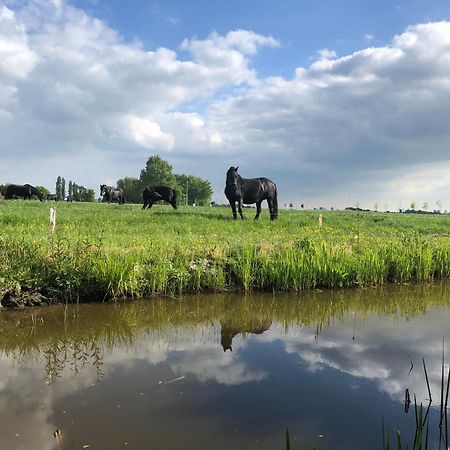 Vakantiehuis In Friesland Voor De Hele Familie Huns Exteriér fotografie