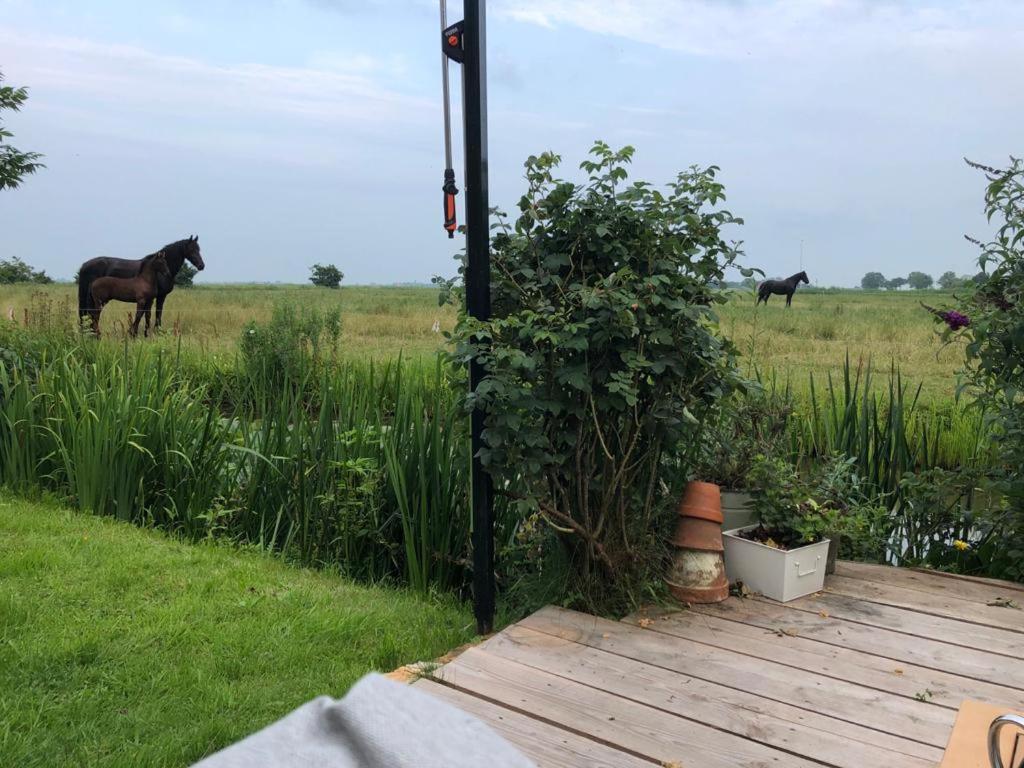 Vakantiehuis In Friesland Voor De Hele Familie Huns Exteriér fotografie
