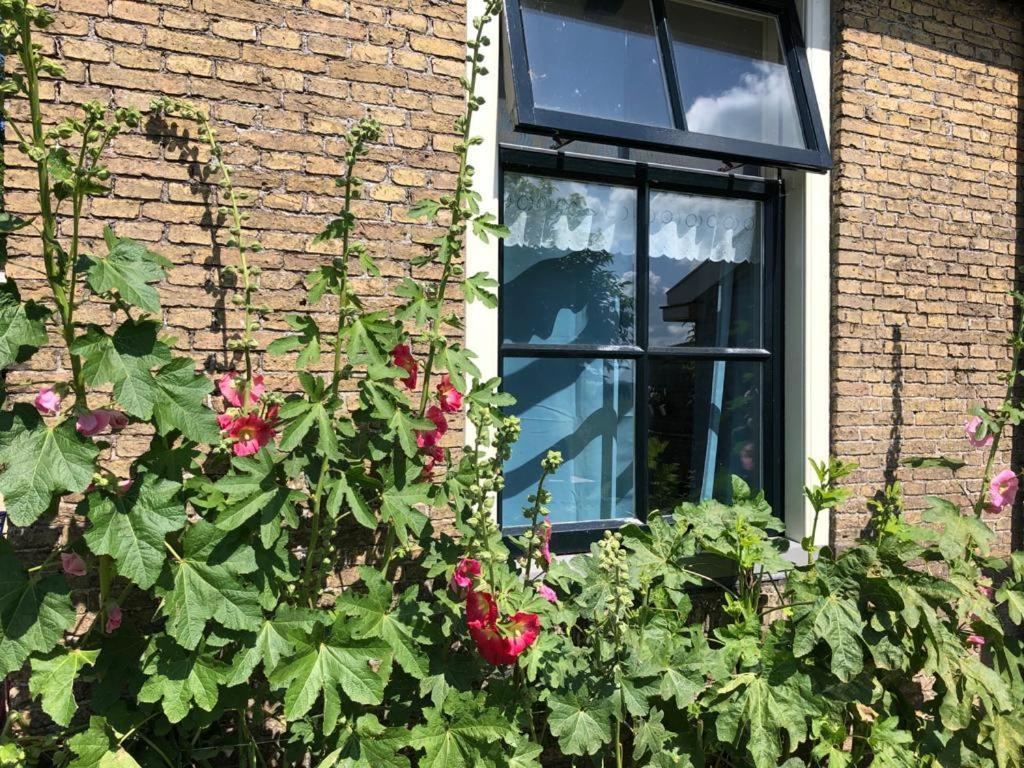 Vakantiehuis In Friesland Voor De Hele Familie Huns Exteriér fotografie