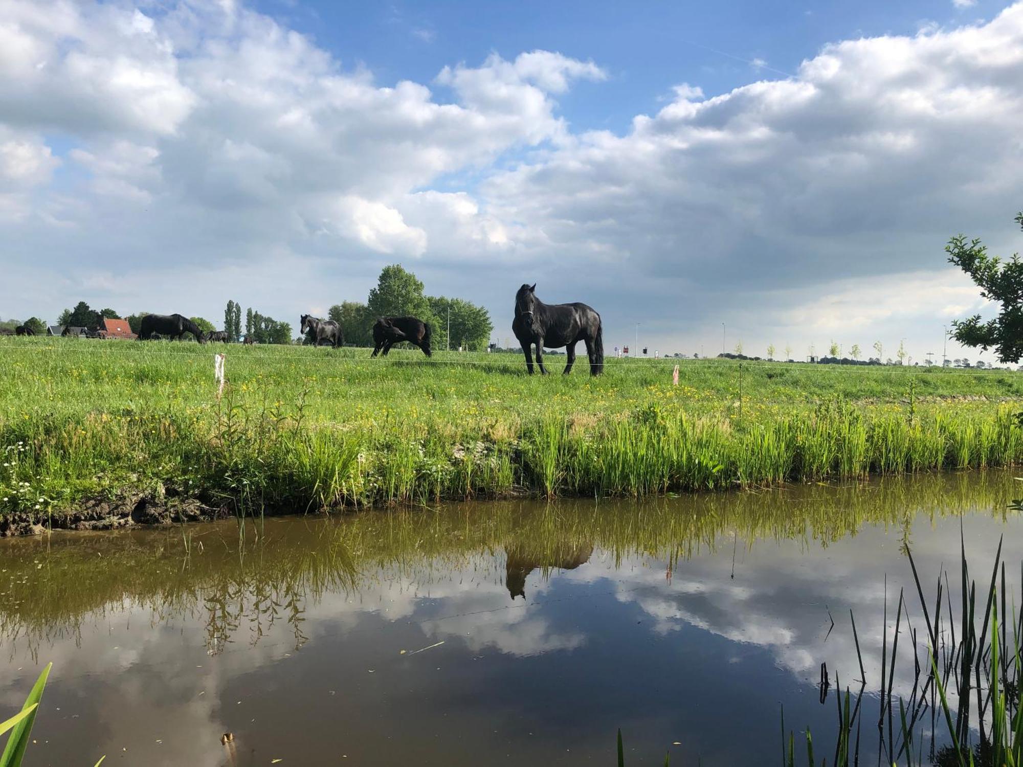 Vakantiehuis In Friesland Voor De Hele Familie Huns Exteriér fotografie